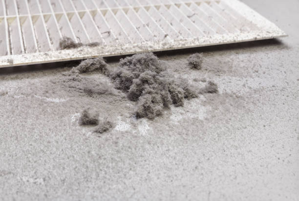 Best Local Air Duct Cleaning Services  in Canton, NC