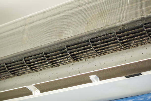 Best Commercial Air Duct Cleaning  in Canton, NC